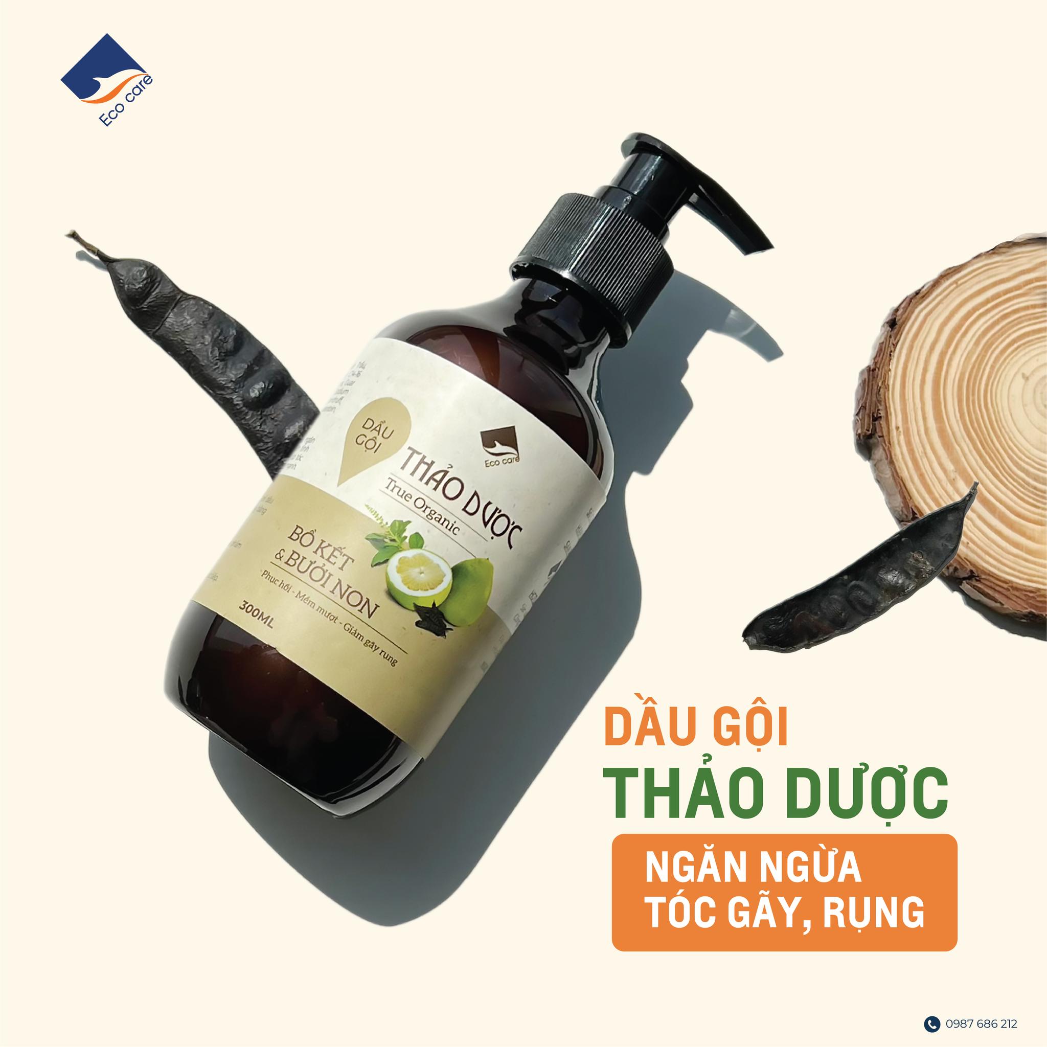 MÁI TÓC THƯA MỎNG MÙA ĐÔNG-1.jpg